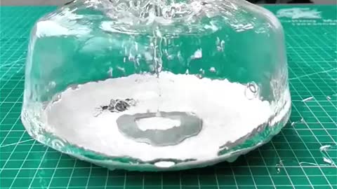 Cool Video - This is so awesome! Slow motion photography. So Amazing!