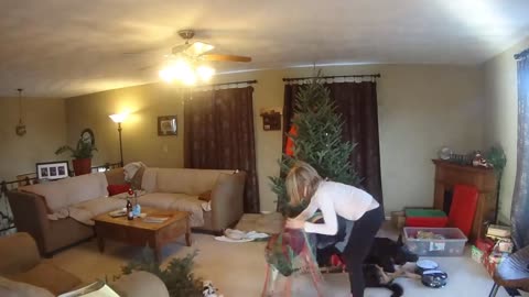 Putting Up the Christmas Tree in a Little Over 1 Minute