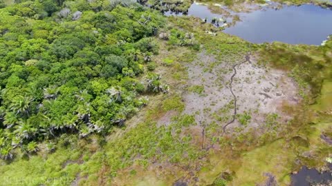 Amazon 4k - The World’s Largest Tropical Rainforest