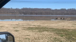 Ohio River Flooding 3/1/21
