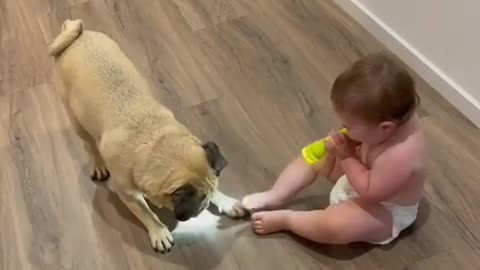 Cute baby playing with a sweet pet