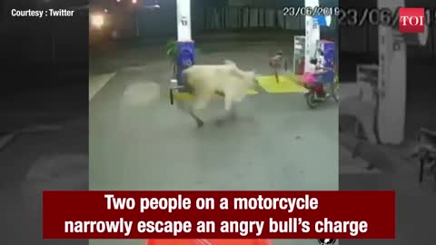 Rider Narrowly Escapes an Angry Bull in India | News India