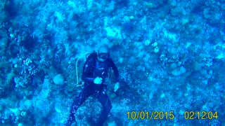 Blowing Bubbles Scuba Diving - Grand Cayman Island