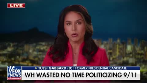 Tulsi Gabbard Unloads on Democratic Party for Trying to Foment 'Civil War' Before