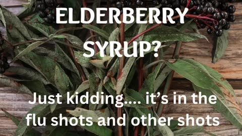 Elderberry syrrup benefits.