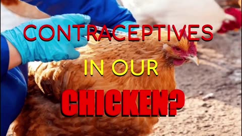 Contraceptives in our food￼