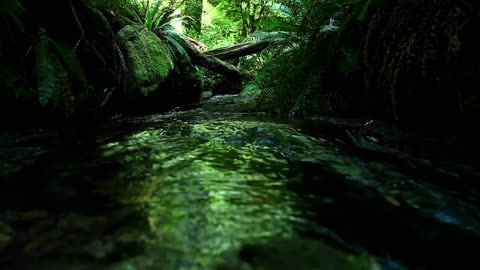 Relaxing Sleep Music+Water Sounds - Beautiful Calm Stream of water with Birds Chirping,Stress Relief