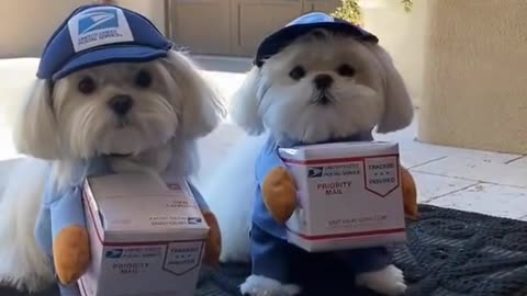 We need more postal workers that look like this