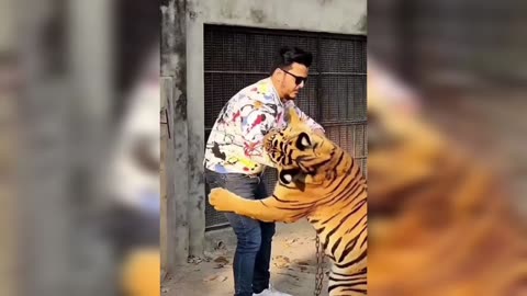 wildlife animal tiger 🐅🐯 🦁 attack man