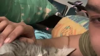 Adorable Kitten Begs for Kisses