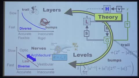 IEEE EMBS Workshop: John Doyle on Laws, layers, and levels in sensorimotor control architecture Sensors And Neuroscience 2022