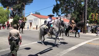 Dancing Horses 1- Ojai 4th of July Parade