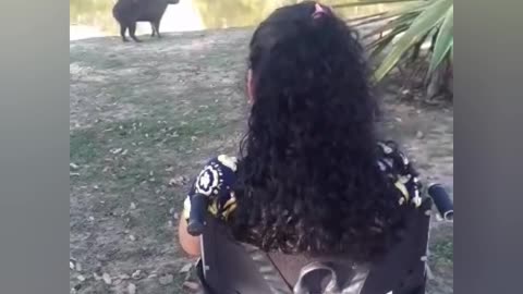 Que animal é esse ?