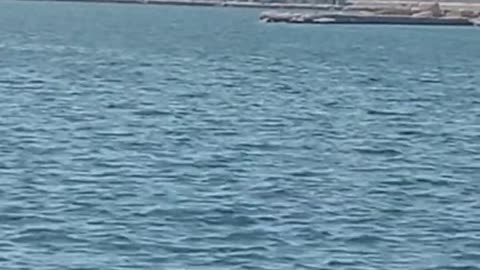 Alexandria Sea بحر أسكندريه