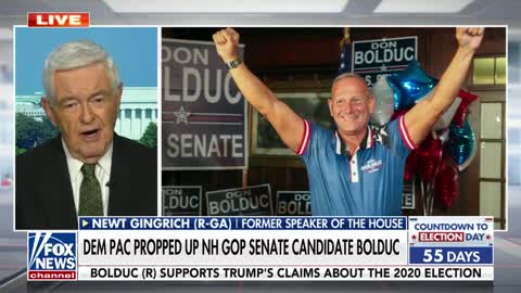 Newt Gingrich on NH Senate race: How does Hasan go home and say this is working?