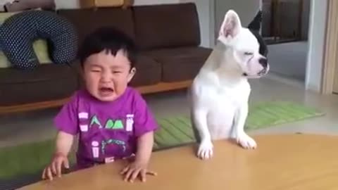 Whatsapp funny videos 2021- Most funny DOG AND KIDS Videos 2021