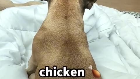 Chicken 🍗
