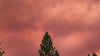 Bear Fires Forebestown CA September 2020