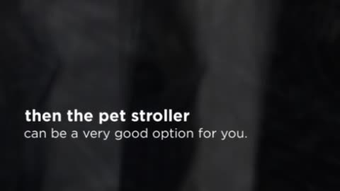 Pet Stroller For Cats