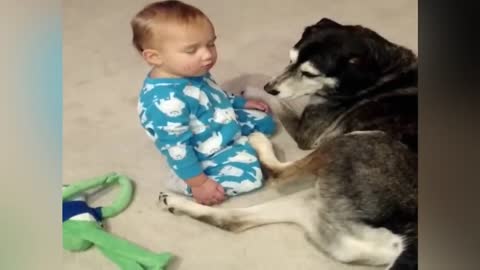 Sleepy Baby Cuddles with Dog