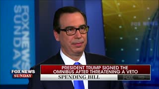 Wallace Reminds Mnuchin 'Line-Item Veto' Was Ruled Unconstitutional By Supreme Court