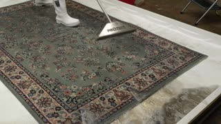 Extremely Dirty Carpet Cleaning | ASMR Satisfying Video