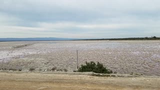 2018-06-28 St Kilda pink salt pan