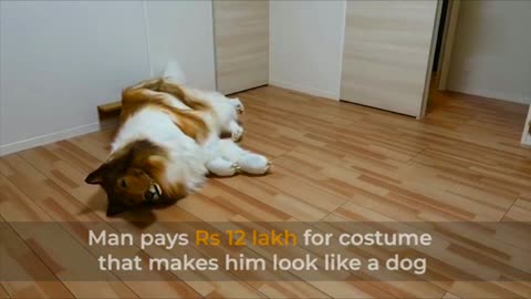A Man Pays 12 Lakhs/2million Yen For An Outfit To Look Like An Animal.Strange But True.