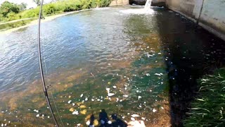 Spillway and Bridge Fishing