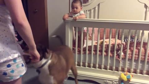 Dog Protects Baby From 'Angry' Mother During Training