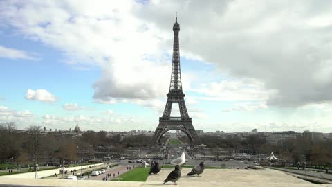 Eiffel Tower Paris France