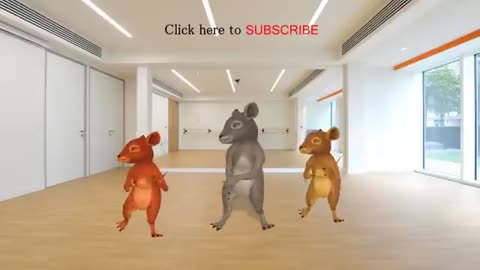 Funny rat dance