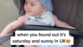 babys day out