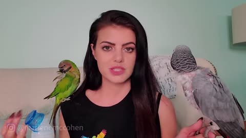 6 WAYS TO TEACH YOUR PARROT TO TALK! | PARROT TALK