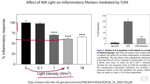 NIR is able to Block TLR4 activation and shut down Inflammation from the spike protein