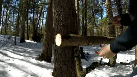 Solo Winter Bushcraft: Overnight in an Elevated Shelter-14