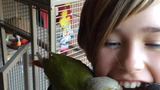 Bird Grooming Her Owner Steals A Loose Tooth