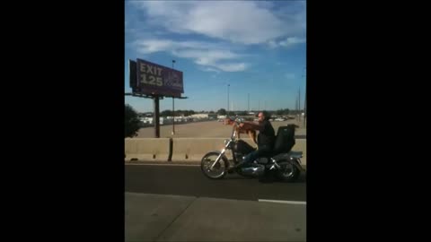 Biker rides with dog on motorcycle