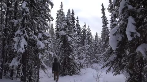 Winter Survival Shelter - Sleeping Outside in -25° Weather