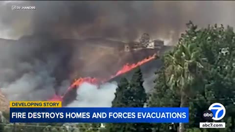 San Bernardino family loses home, 3 dogs in fast-moving brush fire | ABC7 News