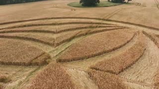 NEW CROP CIRCLE | EASTLEIGH COURT | BISHOPSTRAW