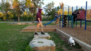 Backflip at the park