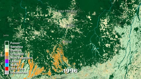 Monitoring Amazon Deforestation: Landsat's Critical Role