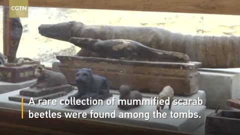 10 incredibili animali mummificati dell'antico Egitto DOCUMENTARIO gli egiziani mummificavano pure gli animali domestici dei faraoni credendo che nell'aldilà gli facessero poi compagnia non erano sacrifici animali ma i loro animali domestici