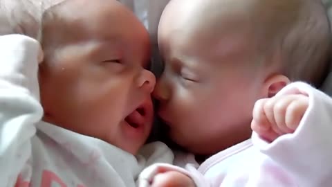 Baby girl tries to feed on twin sisters nose