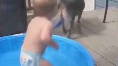 CUTE BABY PLAYING WITH DOG