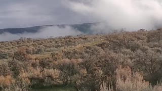 Cloud shaped like a tornado brings fear to note one