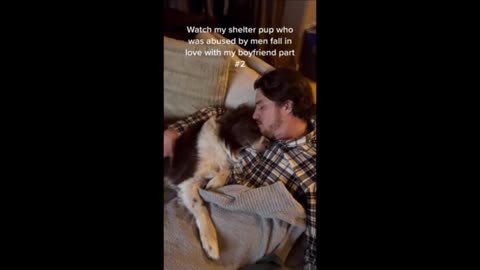 Once-abused shelter dog falls in love with owner's boyfriend