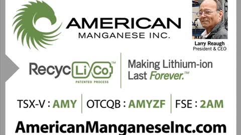 American Manganese CEO Explains The Importance Of Peer Reviews. Larry Reaugh (AMY:TSX.V)