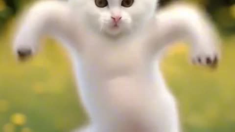 Laugh-Out-Loud: My Hilarious Dancing Cat